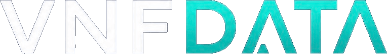 VNFDATA